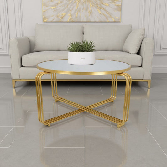Plant Stand Coffee Table, 37 Inch Round Mirror Top, Modern Gold Metal