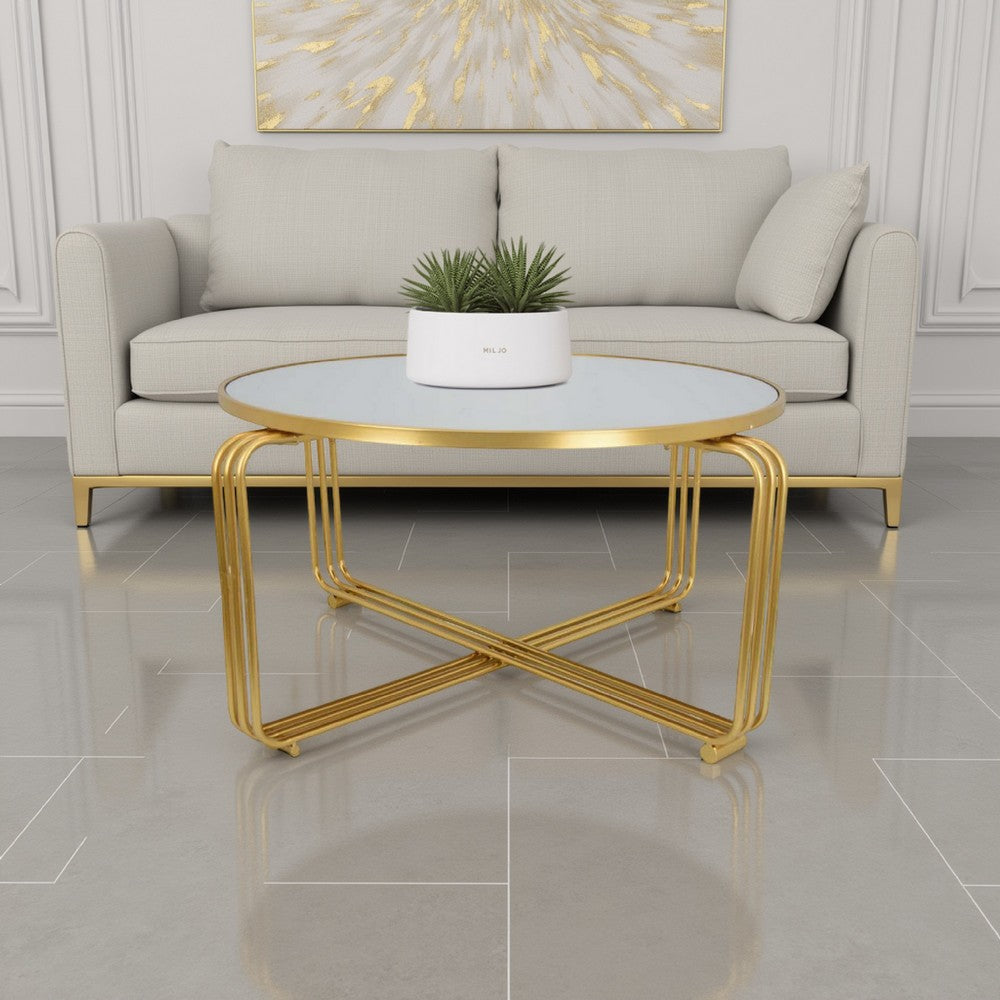 Plant Stand Coffee Table, 37 Inch Round Mirror Top, Modern Gold Metal