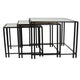Buckley Nesting Plant Stand Table Set of 2 Black Metal Mirrored Top BM331010