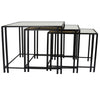 Buckley Nesting Plant Stand Table Set of 2, Black Metal, Mirrored Top