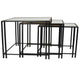 Buckley Nesting Plant Stand Table Set of 2, Black Metal, Mirrored Top