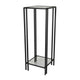 Buckley Plant Stand Table, Black Metal, Square Mirrored Top, 34 Inch