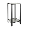 Buckley Plant Stand Table, Black Metal, Square Mirrored Top, 28 Inch