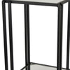 Buckley Plant Stand Table Black Metal Square Mirrored Top 22 Inch