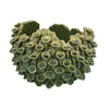 Nina Decorative Bowl, Textured Green Ceramic, Abstract Coral, 11 Inch