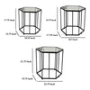 Kellie Plant Stand Table Set of 3 Black Metal Hexagon Glass Tops BM331065