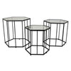 Kellie Plant Stand Table Set of 3, Black Metal, Hexagon Glass Tops