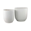 Lyna Accent Planter Set of 2, White Ceramic, Vertical Ribbed Texture
