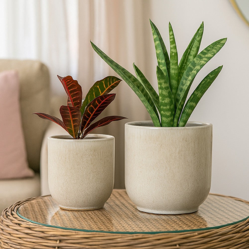 Lyna Accent Planter Set of 2, White Gray Ceramic Smooth Glossy Texture