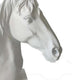 Genny Tabletop Horse Head Sculpture White Resin Statuette 19 Inch