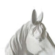 Genny Tabletop Horse Head Sculpture White Resin Statuette 19 Inch
