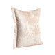 Brad Throw Pillow 22 Inch Flanged Finish Nude Beige Rayon Velvet BM331577
