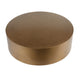 Rano Coffee Table 40 Inch Round Brass Iron Top Modern Drum Shape