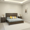 Pola Queen Size Bed, Modern Dual Tone Gray and Brown Solid Pine Wood