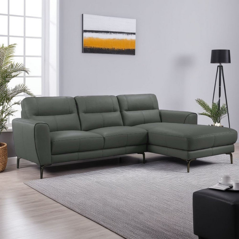 Hena 2pc Sectional Sofa w RAF Chaise, Modern Style, Gray Full Leather
