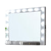 Fery Mirror w Light Bulbs USB and Power Glam Silver 44 Inch BM332606