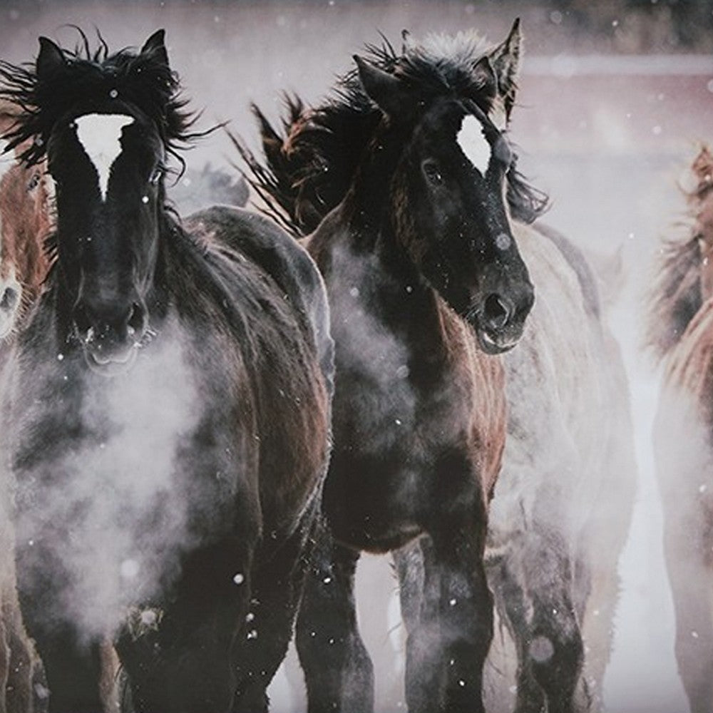 Ashley Hose Wall Art | 36x48 Painted Canvas Brown Black White Running Horses BM332882