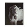 Ashley Arc Horse Silhouette Wall Art Painting | 40x50 | Black White Canvas BM332901