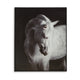 Ashley Arc Horse Silhouette Wall Art Painting | 40x50 | Black White Canvas BM332901