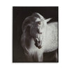 Ashley Arc Horse Silhouette Wall Art Painting | 40x50 | Black White Canvas