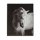 Ashley Arc Horse Silhouette Wall Art Painting | 40x50 | Black White Canvas