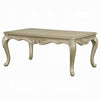 Bertha Coffee Table | Ornate Classical European Champagne Gold | 48’’ BM333143