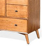 Amy Tall Dresser Chest | 5 Drawers | Black | Orange Brown Mahogany BM333361