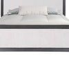 Kizie King Size Bed | Modern Upholstered Black and White Solid Wood