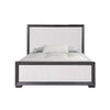 Kizie Queen Size Bed | Modern Upholstered Black and White Solid Wood
