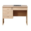 Sial Laptop Desk | 4 Drawers | 40’’ | Weathered White Brown Wood