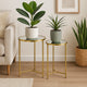 Modern Plant Stand Table Set of 2 | Round Mirror Top | Gold Metal Base