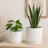 Modern Bowl Planter Set of 2 | Ribbed Edge | Serene White Terracotta
