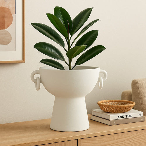 Decorative Bowl Planter | 2 Round Handles | Modern White Ceramic 14"