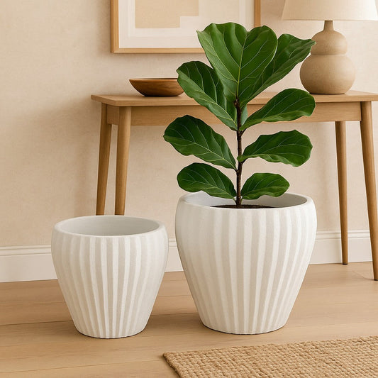 Accent Bowl Planter Set of 2 | Ribbed Edges White Terracotta, 14", 11"