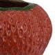 Kema Decorative Flower Vase | Strawberry Accent | 15’’ Red Ceramic BM334852