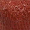 Kema Decorative Flower Vase | Strawberry Accent | 13’’ Red Ceramic BM334853
