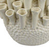 Cior Decorative Vase | Coral Shape Design | 11’’ White Ceramic Body BM334881