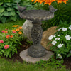 Niam Bird Bath Sculpture | 26" Dark Gray Resin | Scrolled Details