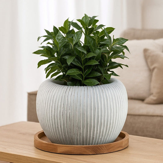 Nios Decorative Vase | Short and Wide | 17" Weathered White Resin