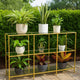 Woly Plant Stand Rack | 2 Glass Shelves | 59" Industrial Gold Metal
