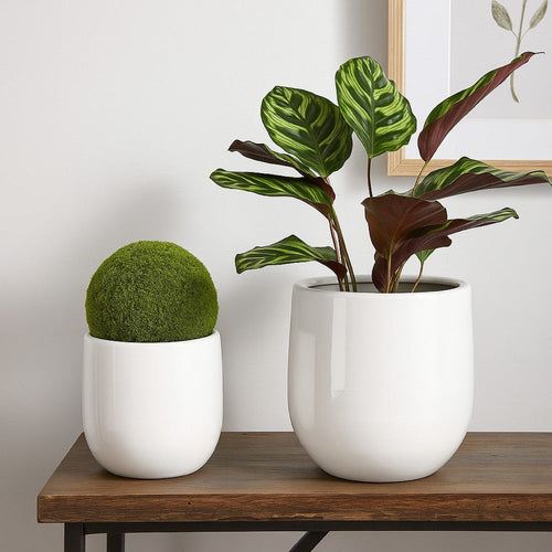 Womy Tall Decorative Planters Set of 2 | Glossy White Ceramic 18, 30"