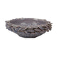 Kiana Decorative Bowl | Gray Ceramic | Flared Scales Rim Accent | 12’’ BM334958