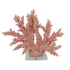 Coral Tabletop Decoration | Pink Resin with Acrylic Base | 13’’ BM334992