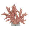 Coral Tabletop Decoration | Pink Resin with Acrylic Base | 13"