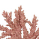 Coral Tabletop Decoration | Pink Resin with Acrylic Base | 13’’ BM334992