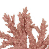 Coral Tabletop Decoration | Pink Resin with Acrylic Base | 13"