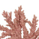 Coral Tabletop Decoration | Pink Resin with Acrylic Base | 13"