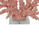 Coral Tabletop Decoration | Pink Resin with Acrylic Base | 13"