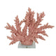 Coral Tabletop Decoration | Pink Resin with Acrylic Base | 13"