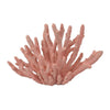 Lyla Coral Tabletop Decor | Branching Design Pink Resin | 13’’